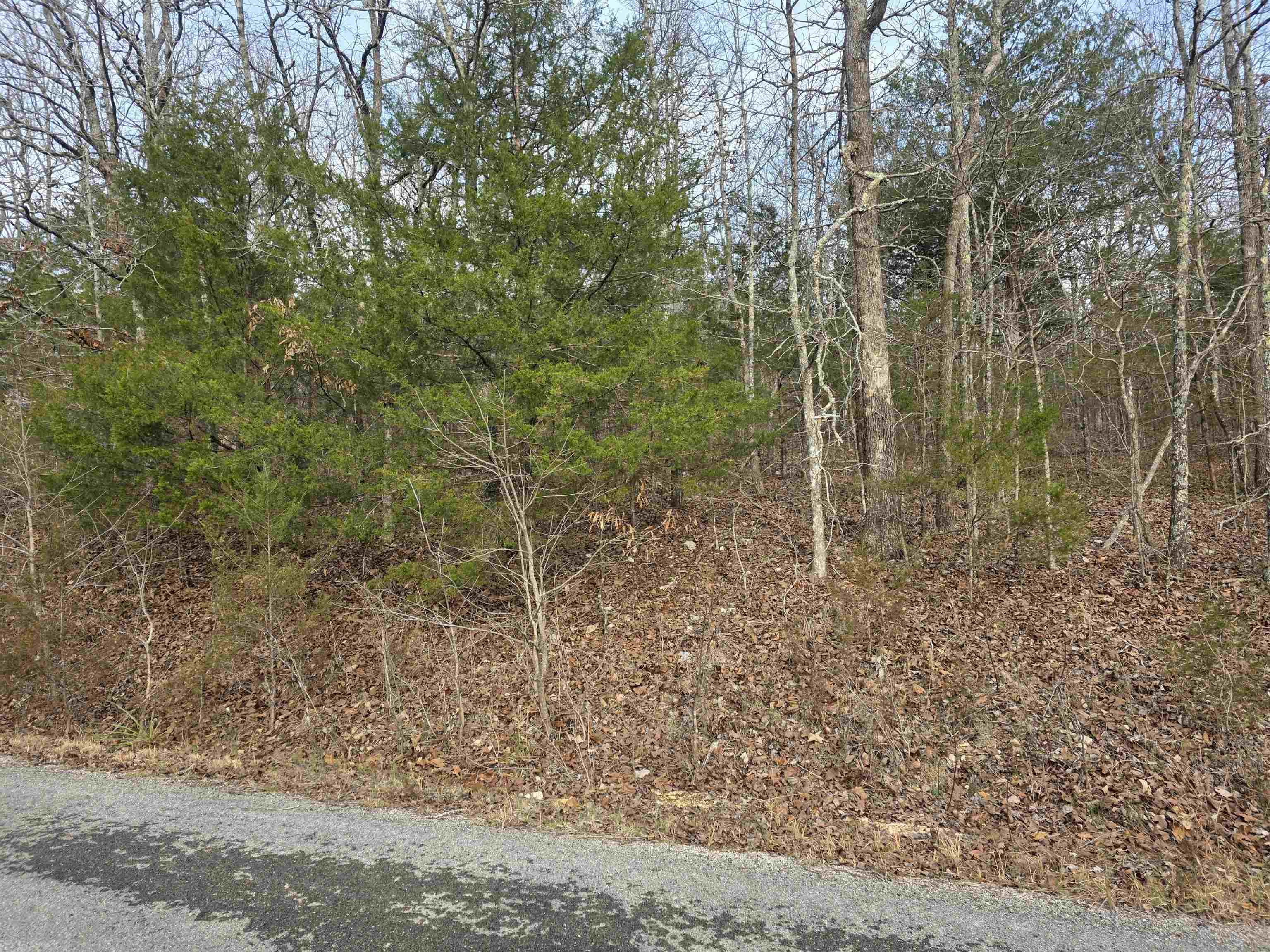 Ojibway First - Land