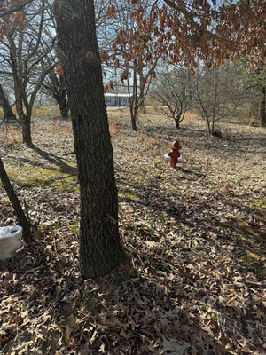 592 SHILOH RD, MC RAE, AR 72102 - Image e22a482f849c31067a28a5cc7c2ab537/170075615