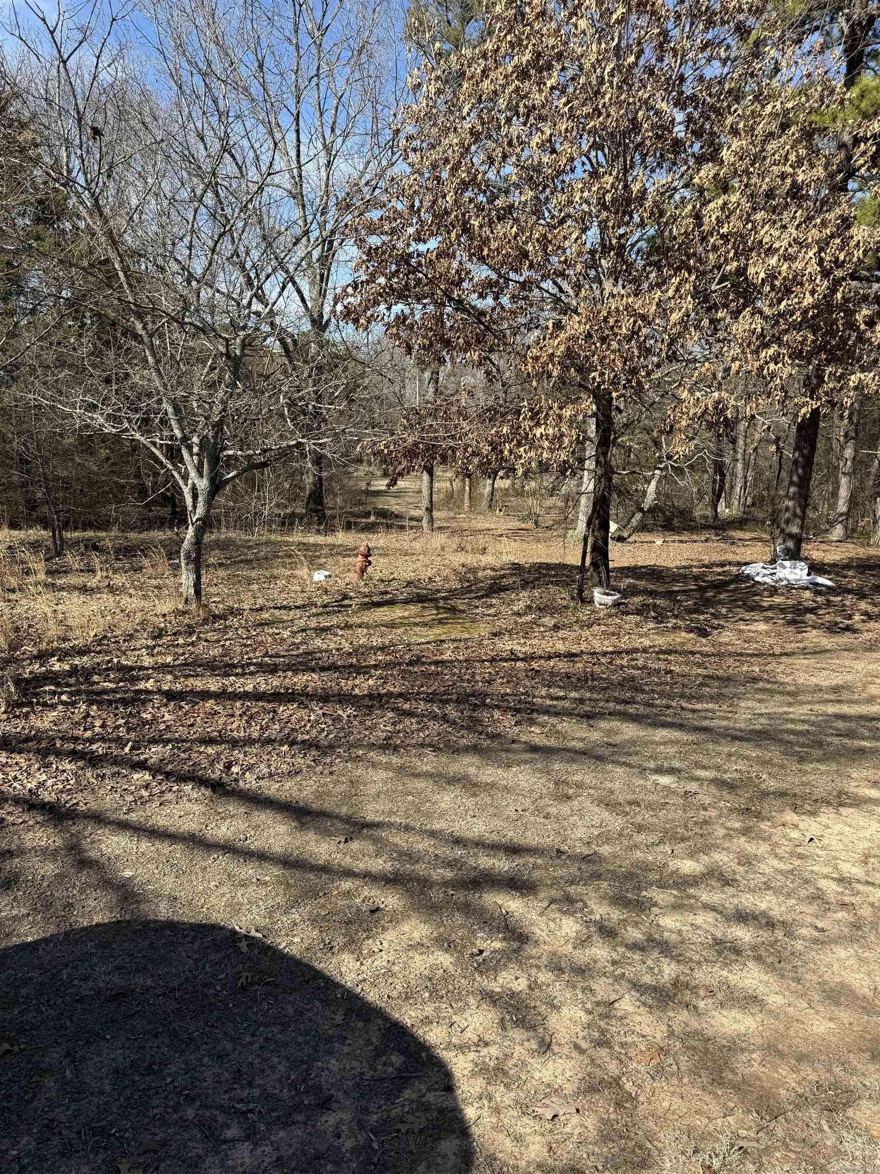 Metes & Bounds - Land