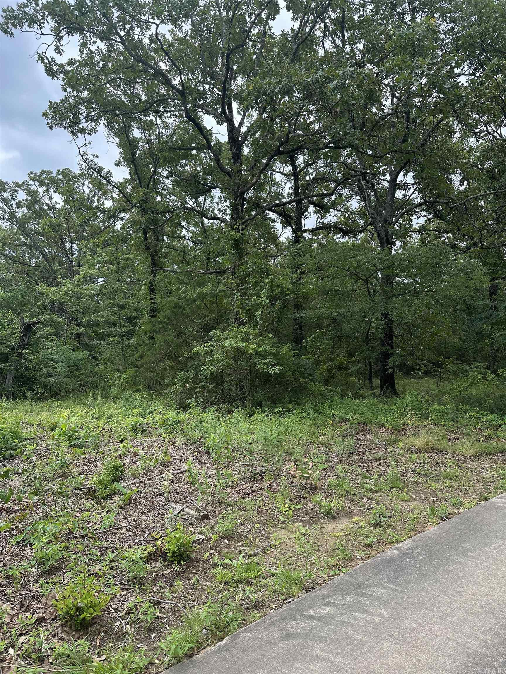 Lots for sale-Must be sold together. Access to lots is through neighbor's driveway. If purchased, your own driveway can be made off of that. These lots are unimproved.