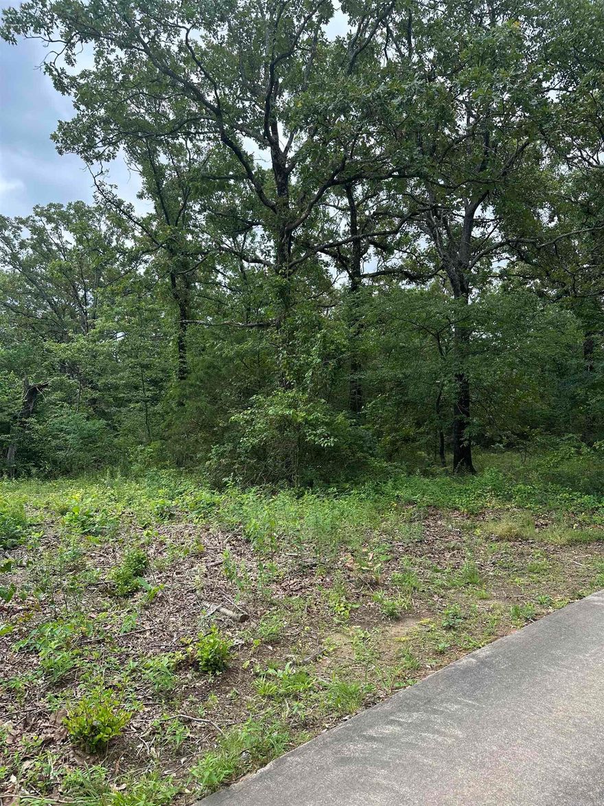 Lots for sale-Must be sold together. Access to lots is through neighbor's driveway. If purchased, your own driveway can be made off of that. These lots are unimproved.