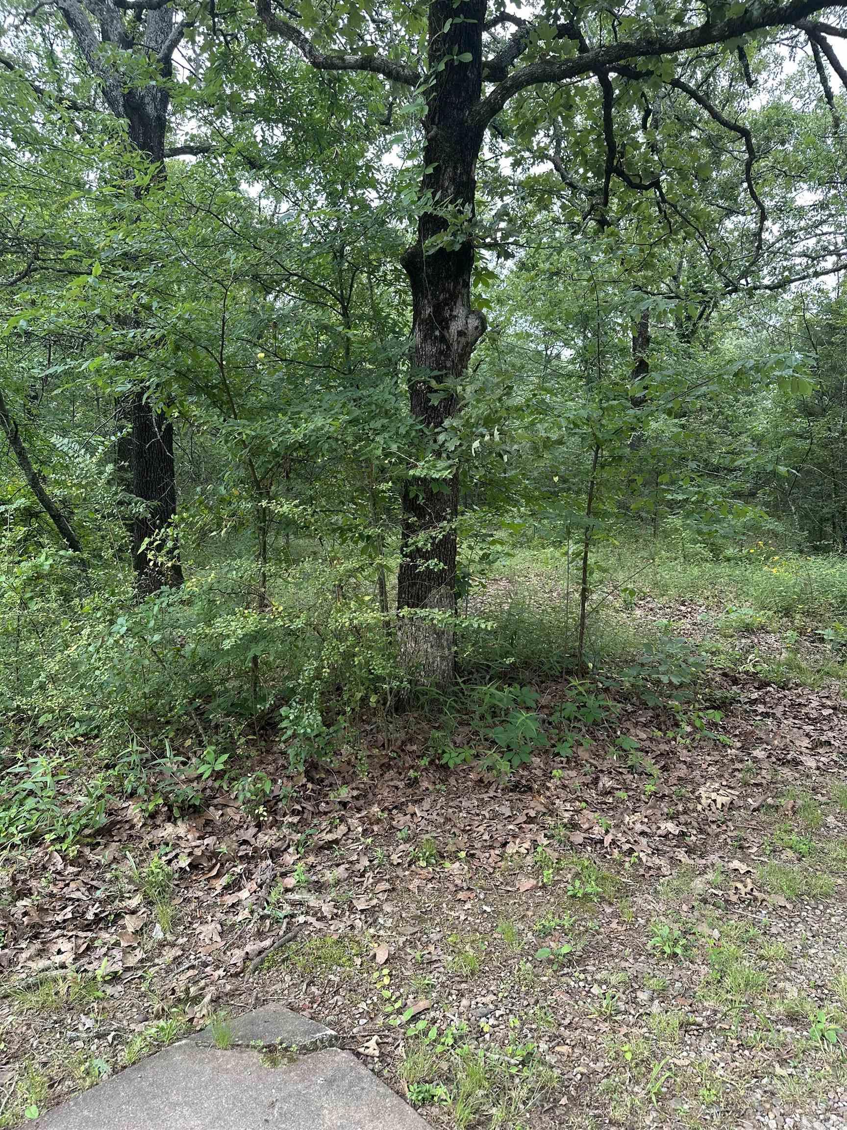 Apple Creek - Land