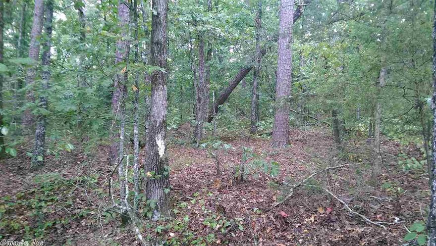 Seller will convey 100% MINERAL RIGHTS!! At an excellent price this is a great place to build or MOBILES ARE ALLOWED.  Lots are priced 6,000 per lot or 20,000 for all four of lots...  Priced Right, Ready To Sell.