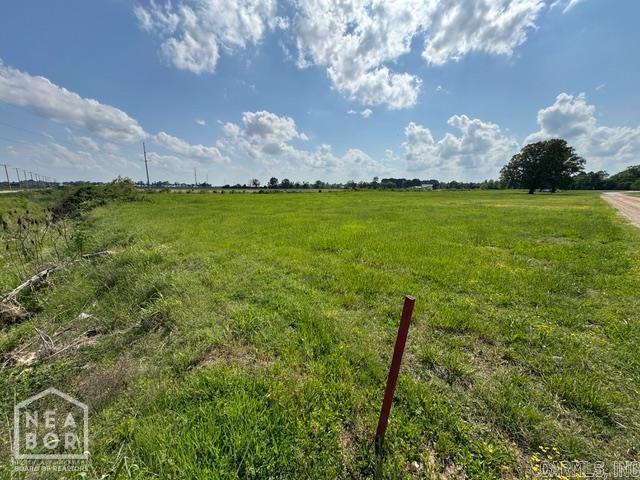 Hey, check out this prime 2.34-acre property just outside the city limits of Rector, Arkansas! This level tract offers endless possibilities for development. With city water, sewer, and Entergy electricity available, you're set up for easy utility access whether you want to build single-family homes, apartments, or even a commercial business. The land has Highway 49 visibility, giving you excellent access and exposure for potential uses like storage buildings, retail, or service-based operations. You'll love the flexibility this property offers. It's big enough for a residential neighborhood, multi-family units, or to bring your commercial vision to life. The location gives you the best of both worlds: close to town for convenience, yet outside city limits for fewer restrictions and more options. If you're looking for land that's ready for your next project with highway frontage, available utilities, and plenty of space, this one's hard to beat. Give me a call to learn more or walk the property.