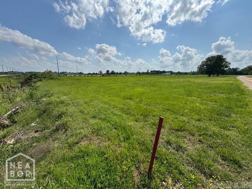 Hey, check out this prime 2.34-acre property just outside the city limits of Rector, Arkansas! This level tract offers endless possibilities for development. With city water, sewer, and Entergy electricity available, you're set up for easy utility access whether you want to build single-family homes, apartments, or even a commercial business. The land has Highway 49 visibility, giving you excellent access and exposure for potential uses like storage buildings, retail, or service-based operations. You'll love the flexibility this property offers. It's big enough for a residential neighborhood, multi-family units, or to bring your commercial vision to life. The location gives you the best of both worlds: close to town for convenience, yet outside city limits for fewer restrictions and more options. If you're looking for land that's ready for your next project with highway frontage, available utilities, and plenty of space, this one's hard to beat. Give me a call to learn more or walk the property.