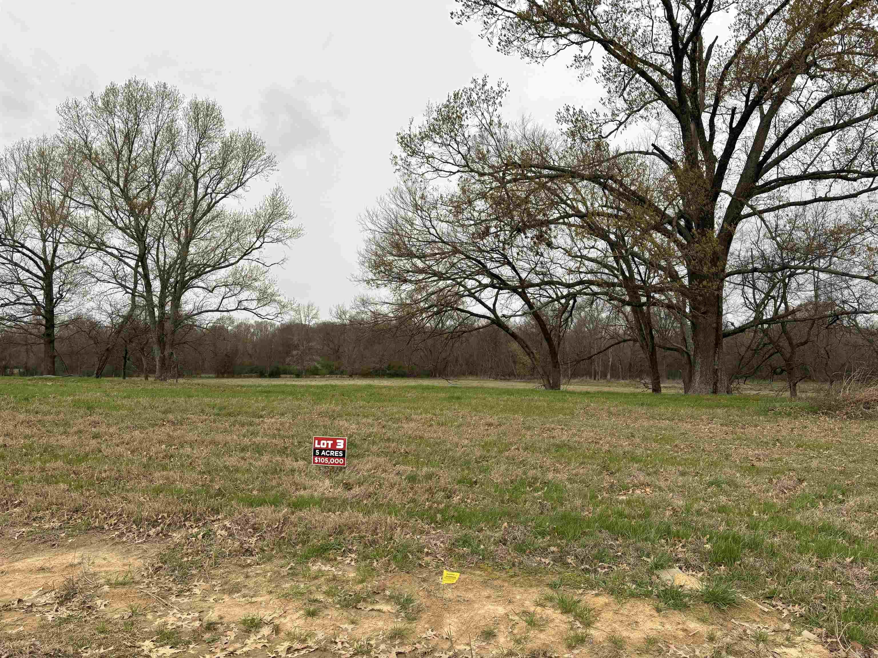 Do not miss out on this beautiful 5 acre lot in a new subdivision. With two beautiful houses in this subdivision, it is just getting started. This is Lot 3 of 3 that is still available out of the 13 lots in this neighborhood. This track has a water meter, natural gas, and high-speed fiber and is conveniently located in between Conway and Vilonia; this is a short 6 mile drive into Conway and 6 mile drive into Vilonia, 11 miles into Enola, and 16 miles into Mayflower. Enjoy property that is not in city limits but includes the convenience of the city right down the road. The property does have restrictions - the home must be 2250 ft minimum with a two car garage and the exterior siding of the home must be brick, stucco, stone, or board/batten siding. The back of this property sits on a flood zone; however, the front of the property where a house can be built remains out of the flood zone. Because the home would be out of the flood zone, you are not required to carry flood insurance. The fraction of this lot that sits in the flood zone is perfect recreational property to ride four wheelers or keep your animals. Do not miss out on this beautiful property.