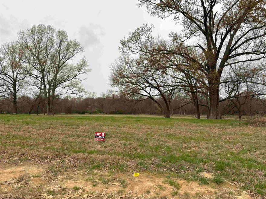 Do not miss out on this beautiful 5 acre lot in a new subdivision. With two beautiful houses in this subdivision, it is just getting started. This is Lot 3 of 3 that is still available out of the 13 lots in this neighborhood. This track has a water meter, natural gas, and high-speed fiber and is conveniently located in between Conway and Vilonia; this is a short 6 mile drive into Conway and 6 mile drive into Vilonia, 11 miles into Enola, and 16 miles into Mayflower. Enjoy property that is not in city limits but includes the convenience of the city right down the road. The property does have restrictions - the home must be 2250 ft minimum with a two car garage and the exterior siding of the home must be brick, stucco, stone, or board/batten siding. The back of this property sits on a flood zone; however, the front of the property where a house can be built remains out of the flood zone. Because the home would be out of the flood zone, you are not required to carry flood insurance. The fraction of this lot that sits in the flood zone is perfect recreational property to ride four wheelers or keep your animals. Do not miss out on this beautiful property.