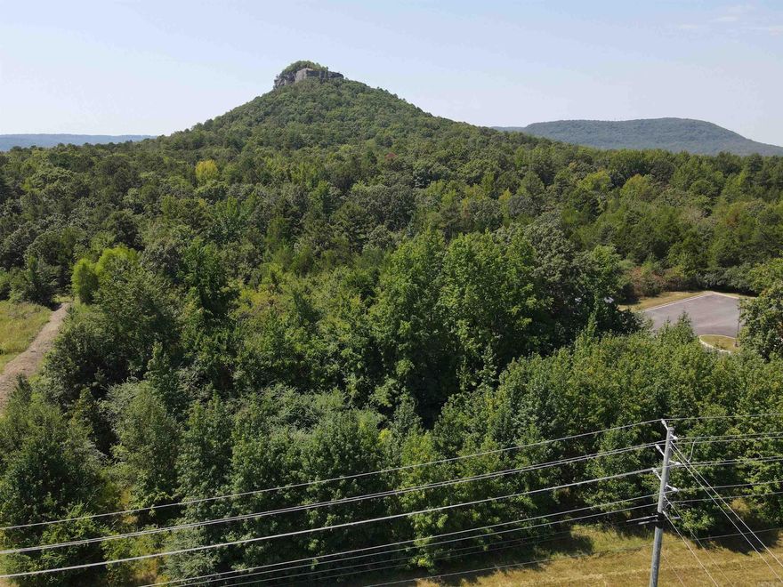 Excellent commercial property. Close to the Little Red River and Greers Ferry Lake.  So many options for this property.  Located just minutes from downtown.