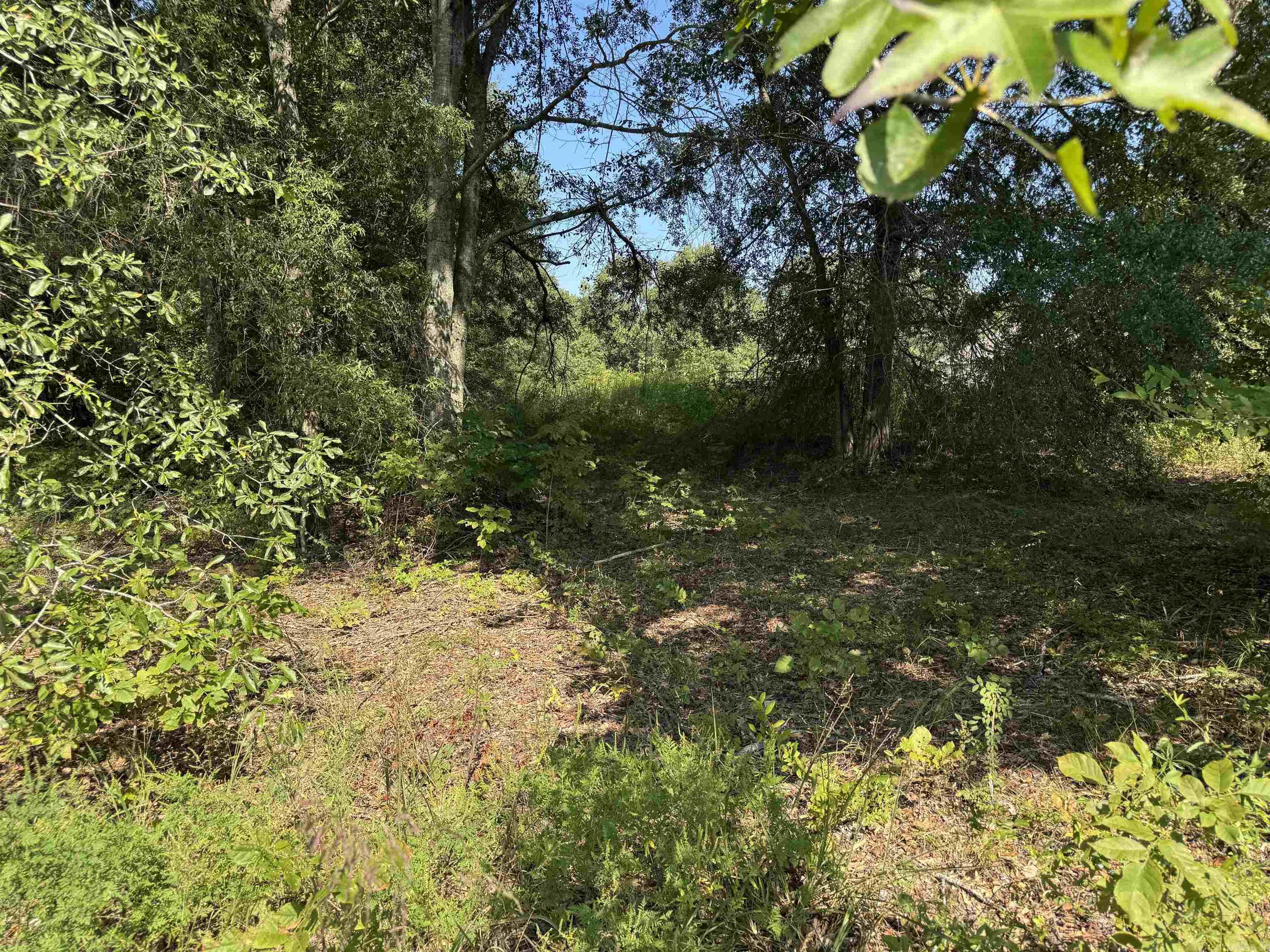 Calvary Estates - Land