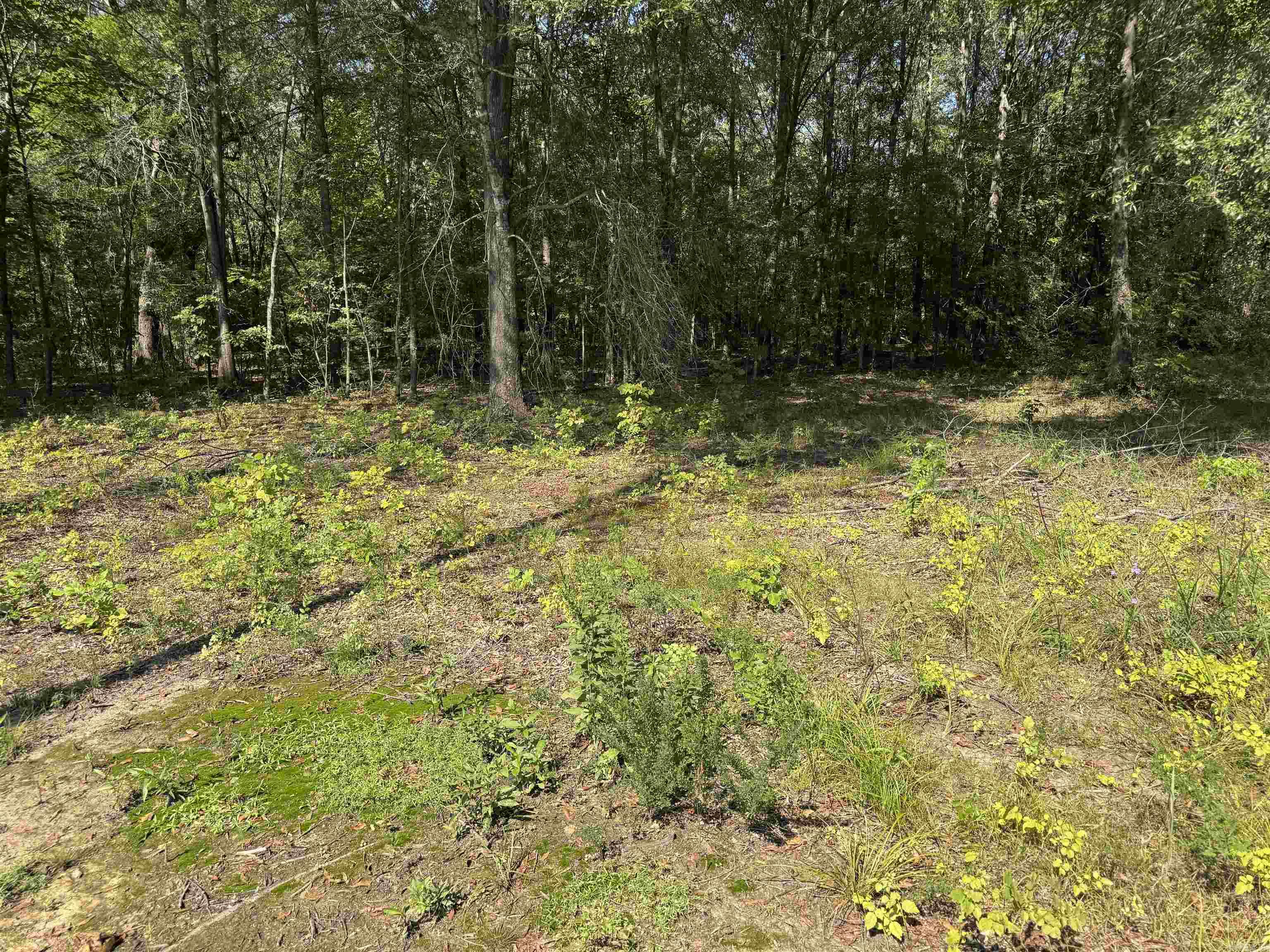 Calvary Estates - Land