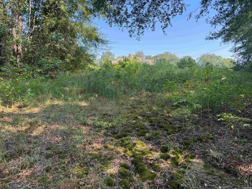 Nice lot to build your dream home in a great area with natural beauty in your backyard! Almost 2 acres with the Bayou Meto creek on the back side of the property for a perfect retreat!  There is nothing but forest for as far as the eye can see... Drive by and take a look and make this home!
