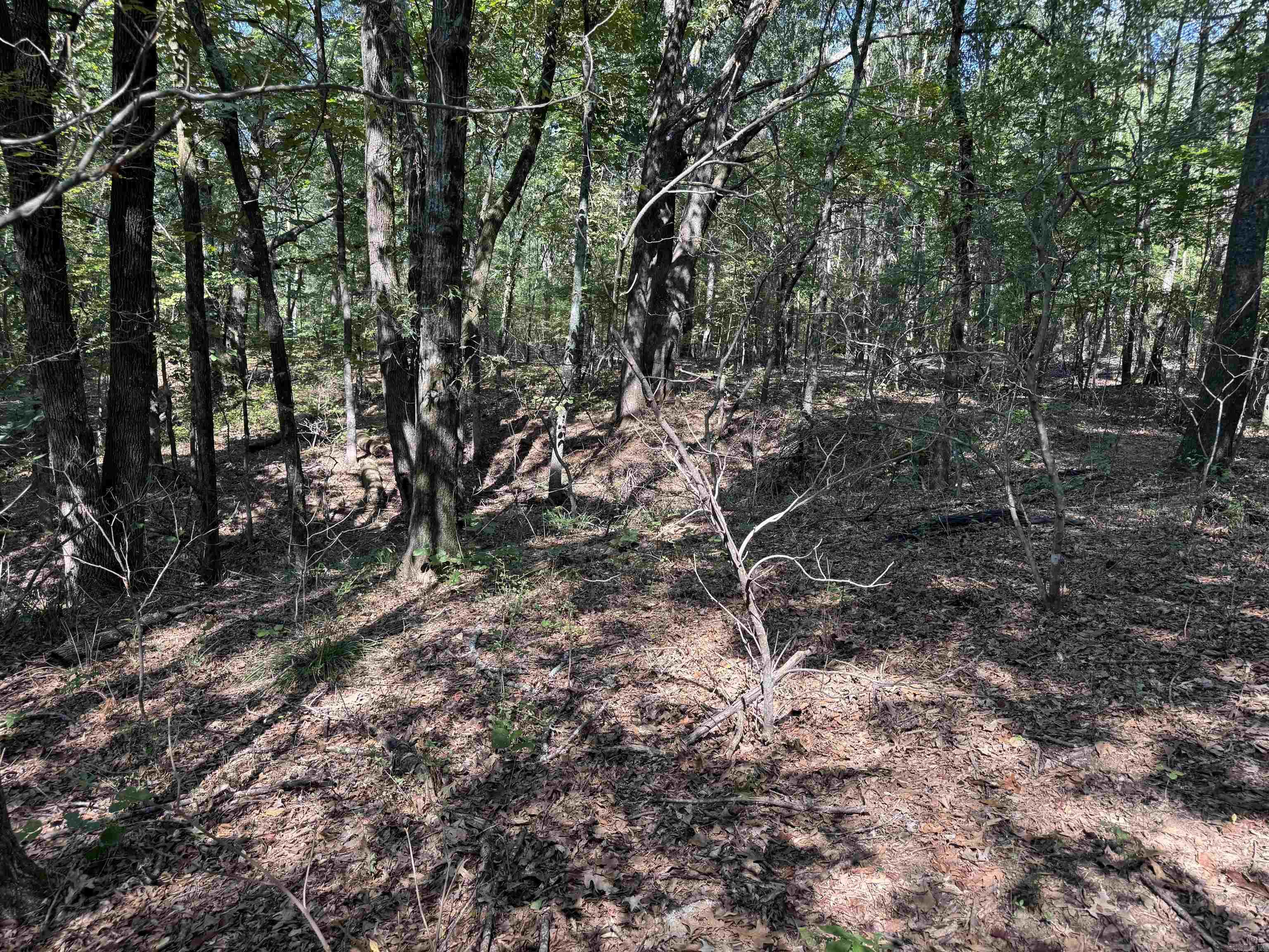 Calvary Estates - Land