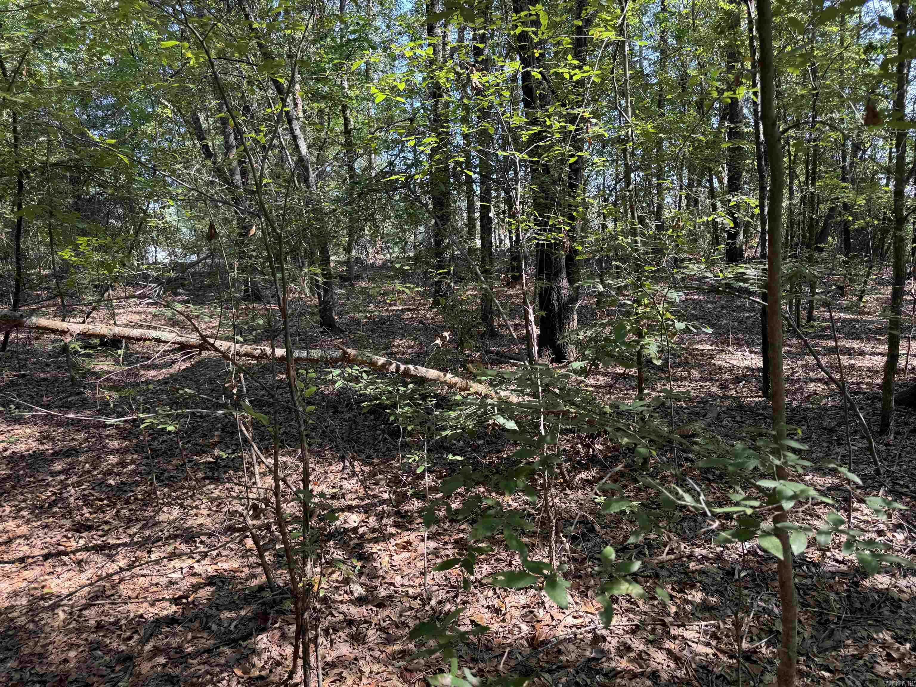 Calvary Estates - Land