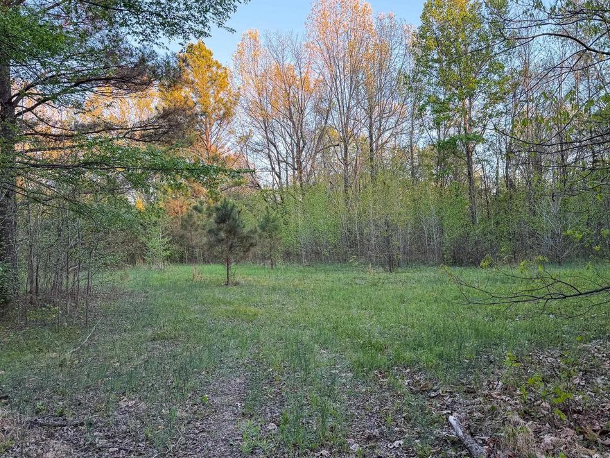 If you’ve been searching for space, privacy, and possibility—this is it. 39.3 acres of beautiful, timbered land in the Brookland School District offering the perfect setting for your dream home or future development. Enjoy quiet country living surrounded by wildlife, while still being just a short drive to Jonesboro and Paragould. With utilities available through Craighead Electric Cooperative and Jonesboro City Water & Light and paved road access, this property is ready for your vision.