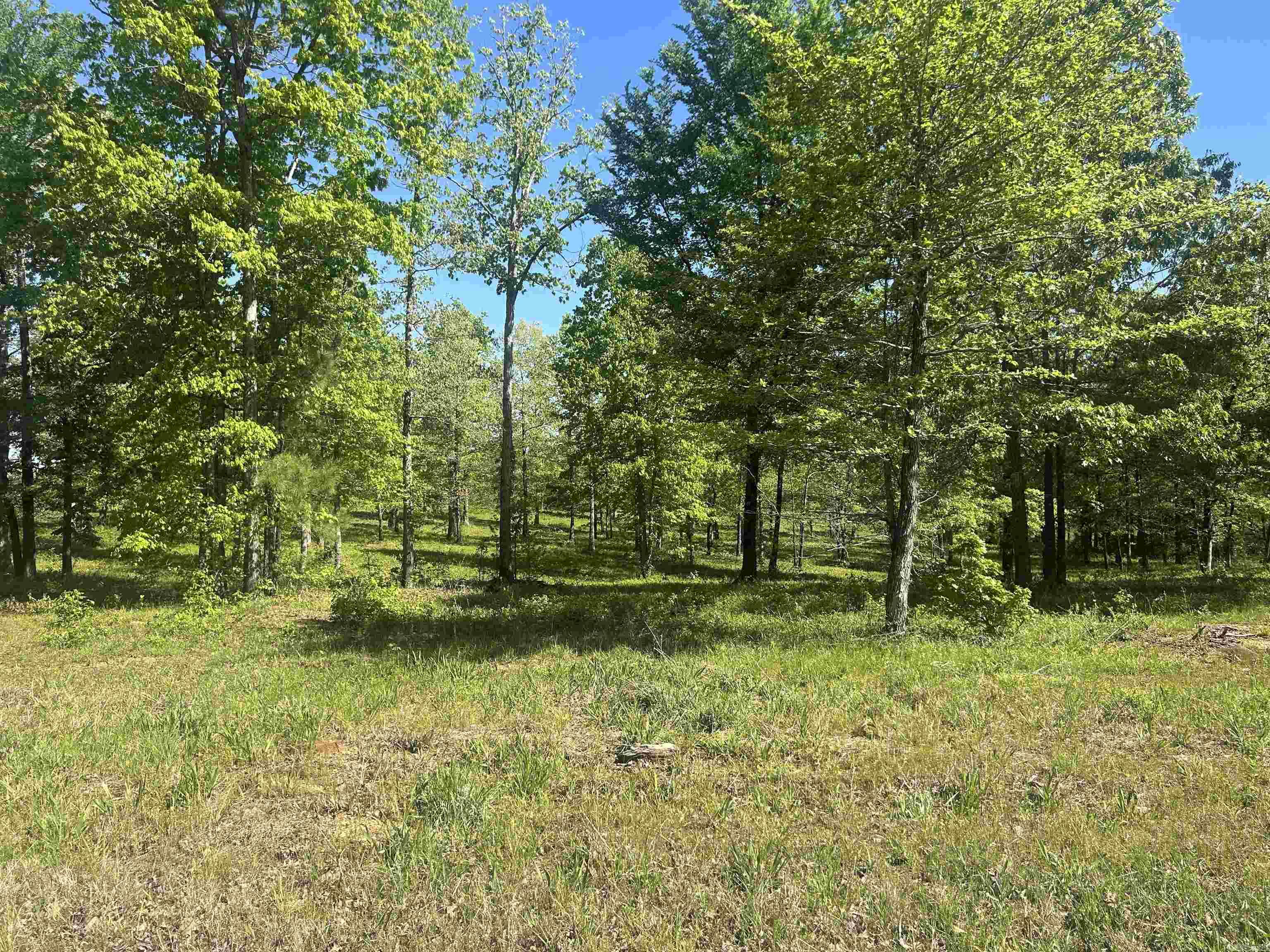 Mill Creek - Land