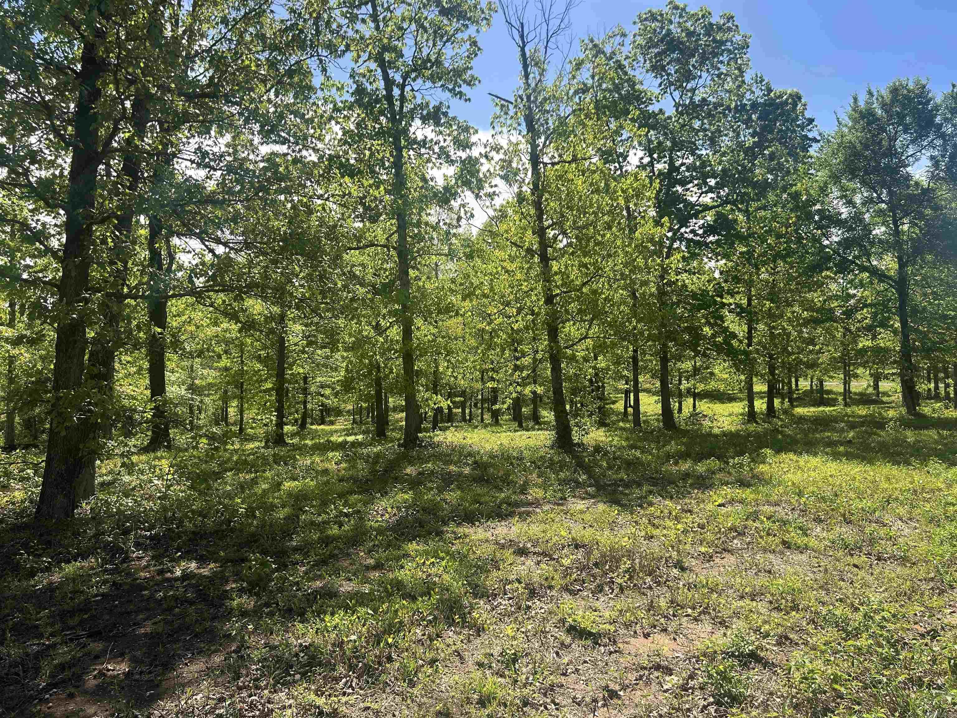 Mill Creek - Land