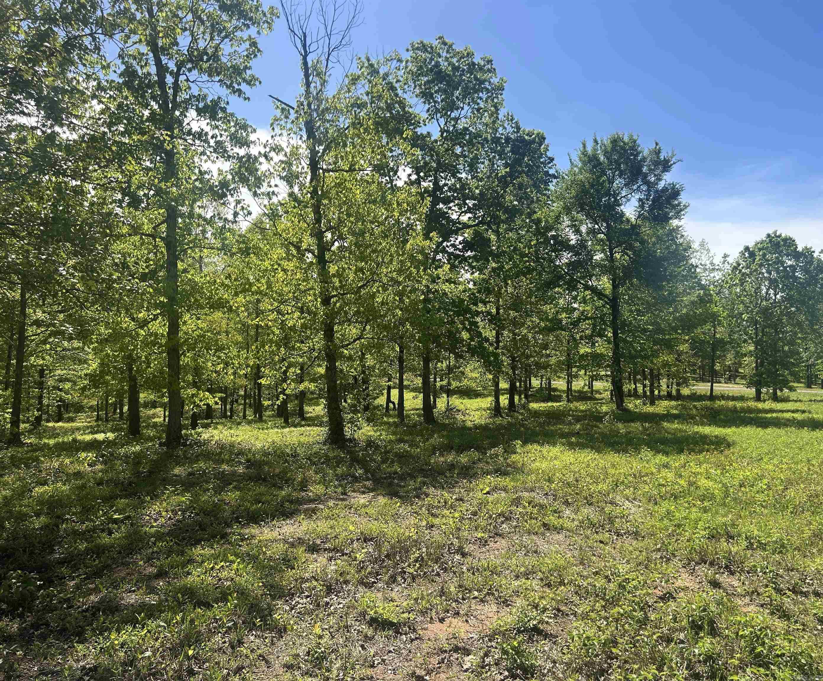 Mill Creek - Land