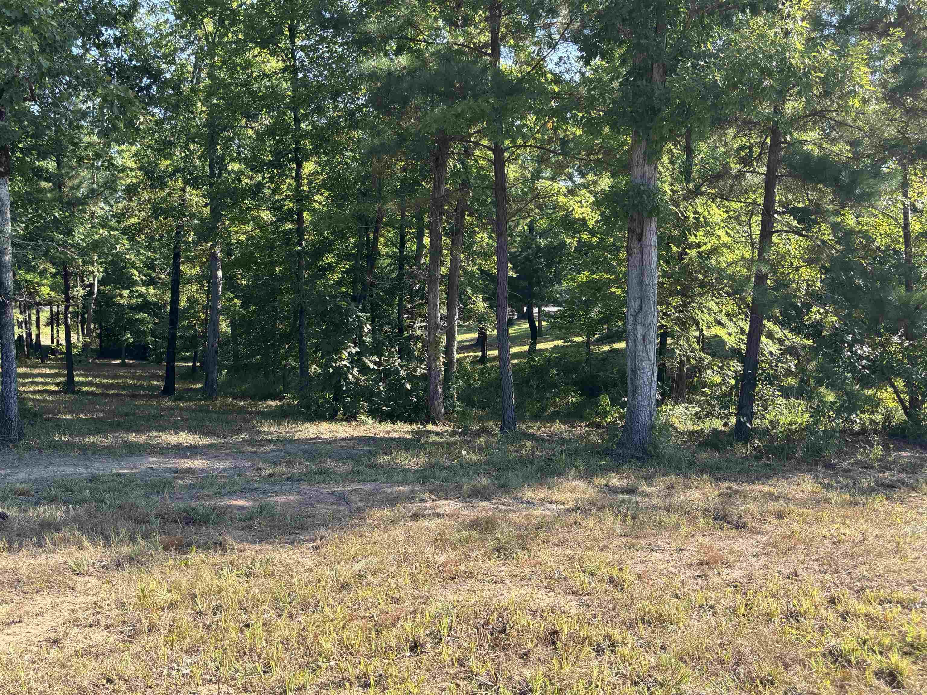 Mill Creek - Land