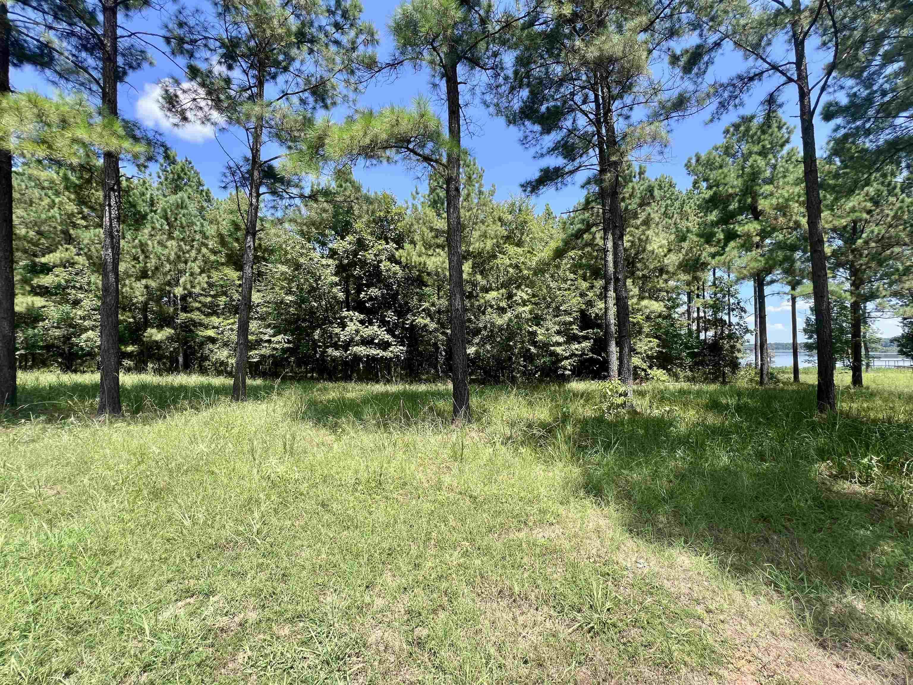 Beautiful LAKE FRONT LOT on Arkansas's Lake Erling. This property is in a gated community and sits just north of the AR state line near Springhill, LA. There is underground electric and sewer tap with one time $500 fee. There are NO MFGs allowed. Lot 4 is also available for purchase. Feel free to drive out and take a look at all the beauty this property has to offer. Have questions, give me a call at 501.266.3738
