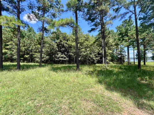 3 EAGLE RD, LEWISVILLE, AR 71845 - Image e2b7f63ddd53b70109eebf0f49a48d89/2167982443