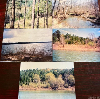 SANDY FLAT RD, SHIRLEY, AR 72153 - Image e2c1d29e05d00a5e83d568918162ed6d/3528328863