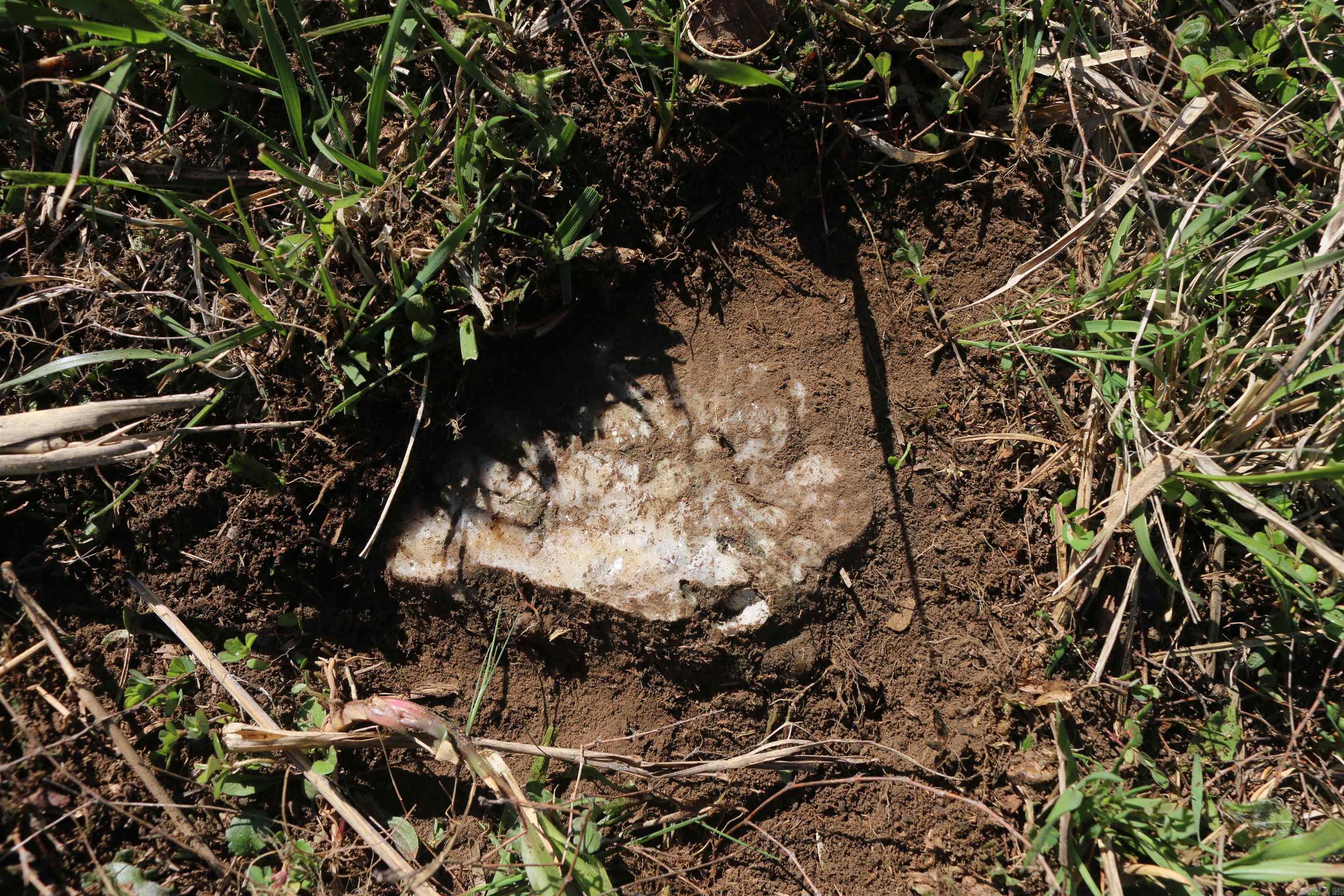 Metes & Bounds - Land