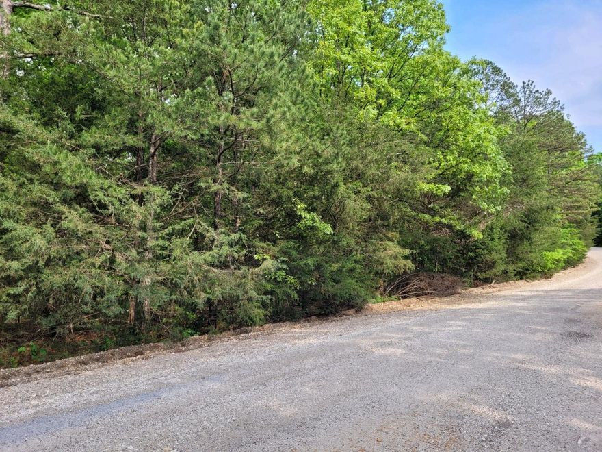 Escape to the quiet beauty of the Ozark foothills with this versatile 0.80-acre wooded lot in Sharp County, Arkansas. Perfectly situated between the charming rural communities of Evening Shade and Cave City, this property offers the ultimate blend of privacy and accessibility. With gravel county road frontage on two sides, navigating to your future homesite is easy, and the dense canopy of mature trees provides a natural buffer for those seeking a peaceful, secluded lifestyle. Despite its serene country setting, this land is ready for modern living with electricity and rural water available at the site. Whether you are looking to build a primary residence or a weekend getaway, you'll benefit from the convenience of being just a short drive from the shopping, dining, and amenities of Batesville. If you've been searching for an affordable, build-ready tract of land where you can truly "get away from it all," this Sharp County gem is waiting for your vision.