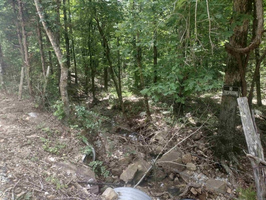 483 MCINTIRE LN, MOUNTAIN VIEW, AR 72560 - Image e2eb0b2d8905419f5c77dc2a45d8c52d/1110587400