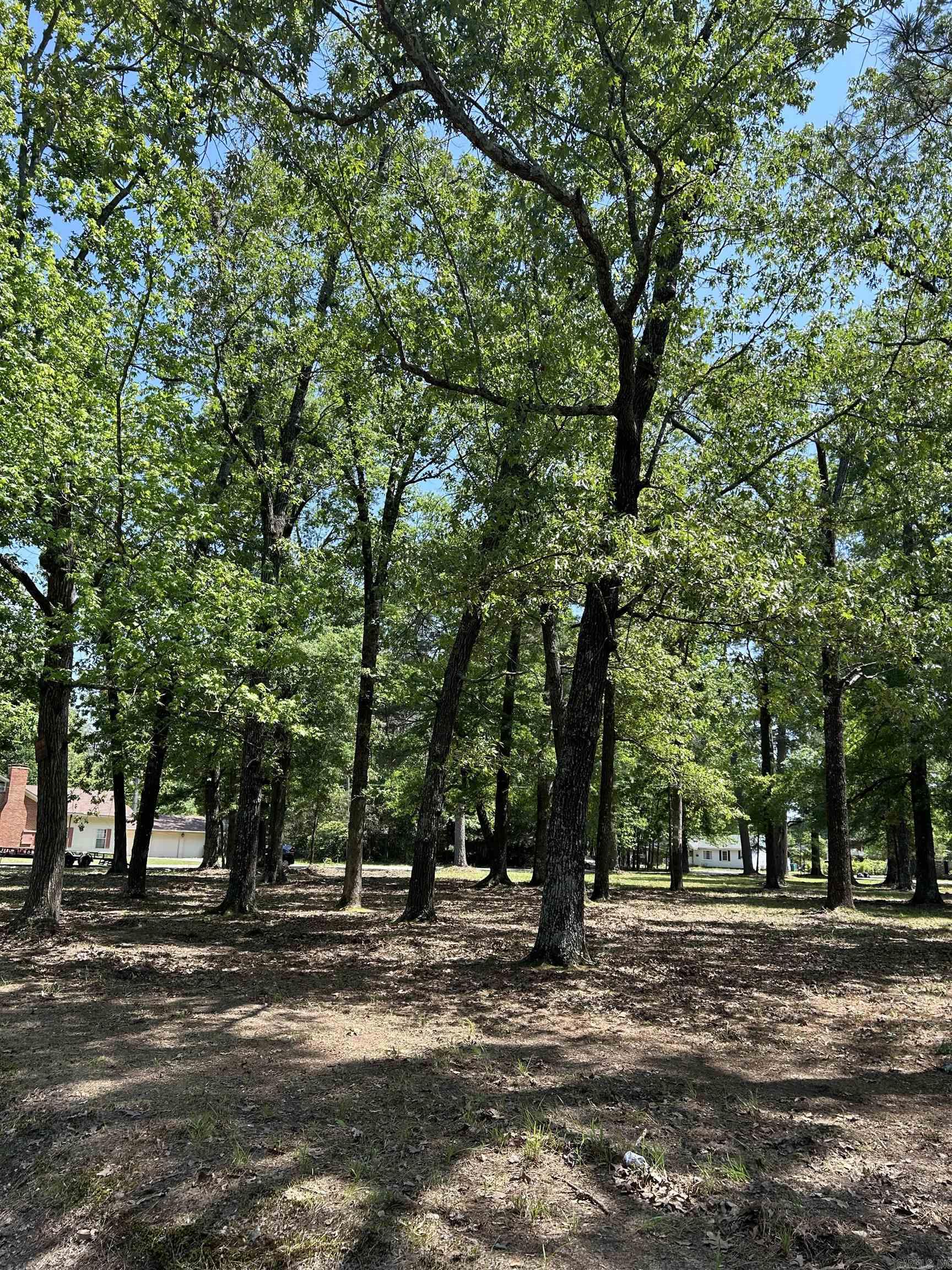 Six residential lots available. Each lot is listed for $10,000. Three lots face West 33rd, three lots face West 34th, all lots are behind Forest Park School. Prime location to build your new home.