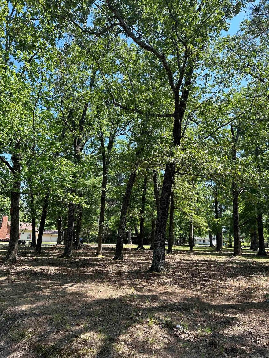 Six residential lots available. Each lot is listed for $10,000. Three lots face West 33rd, three lots face West 34th, all lots are behind Forest Park School.  Prime location to build your new home.