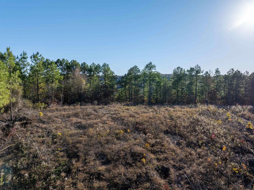 Looking for a getaway property primely located in the Board Camp Area? Take a look at this one! Breathtaking 360 views of the Ouachita Mountains with easy access to the Wolf Pen Gap Trail System. 17.53 wooded acres with multiple build sites. This property can be conveniently accessed by 3 road entry points. These sites are heavily sought after as investment properties, Don't miss your opportunity to own in this popular area!