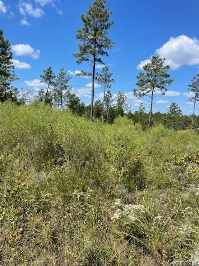 If you have not been down Hwy 298 in a while, you'll be shocked at the growth and number of homes that have been built and continuing to be built. Here is 4 plus acres where you can build your own home. Property located in Bryant School District. Approximately 6.5 miles from Riverside Grocery off of Hwy 5 and just over a mile off of Steel Bridge Road. Parcel #159-08001-001.