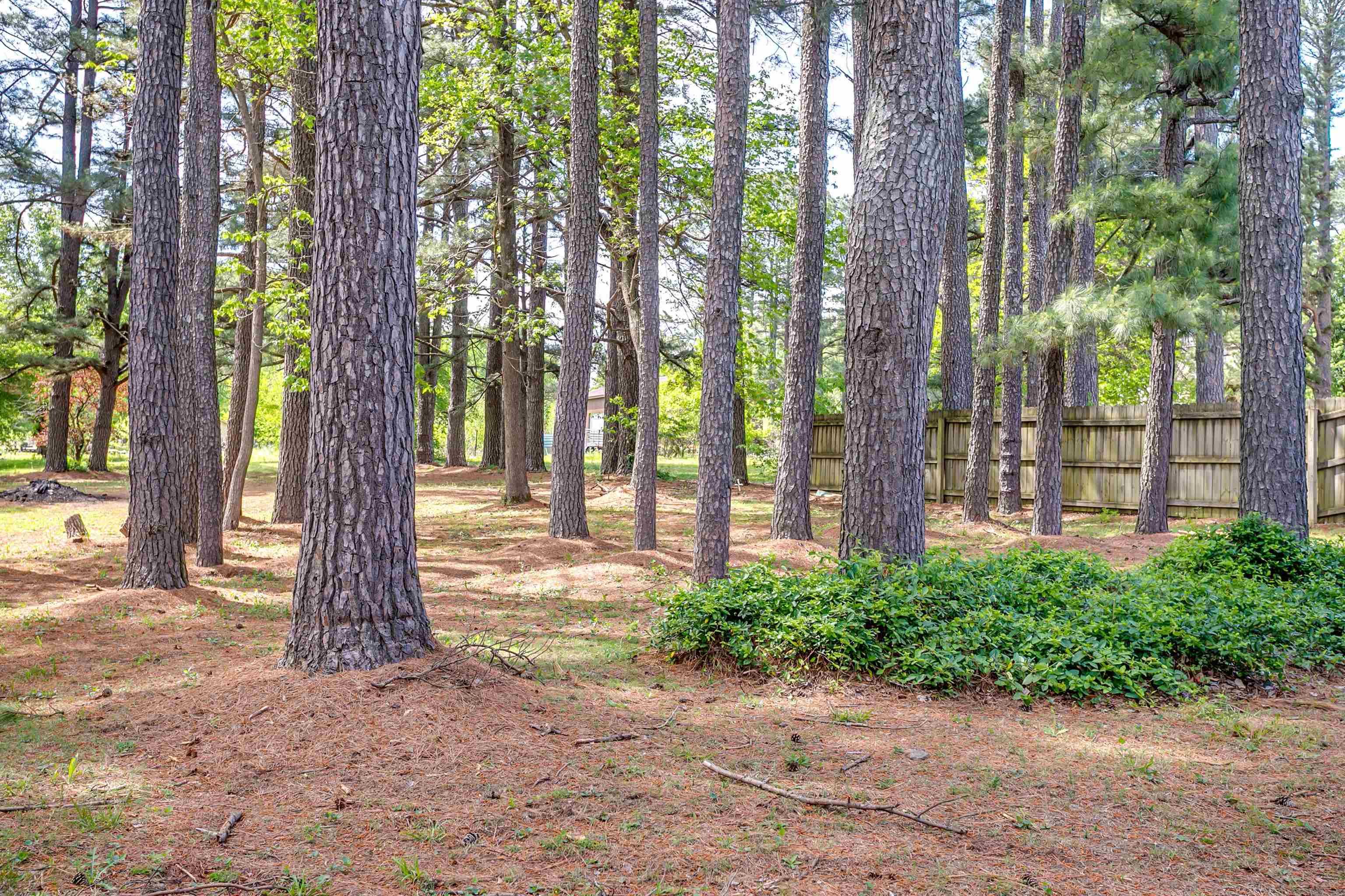 LAKE LORADO HEIGHTS - Residential