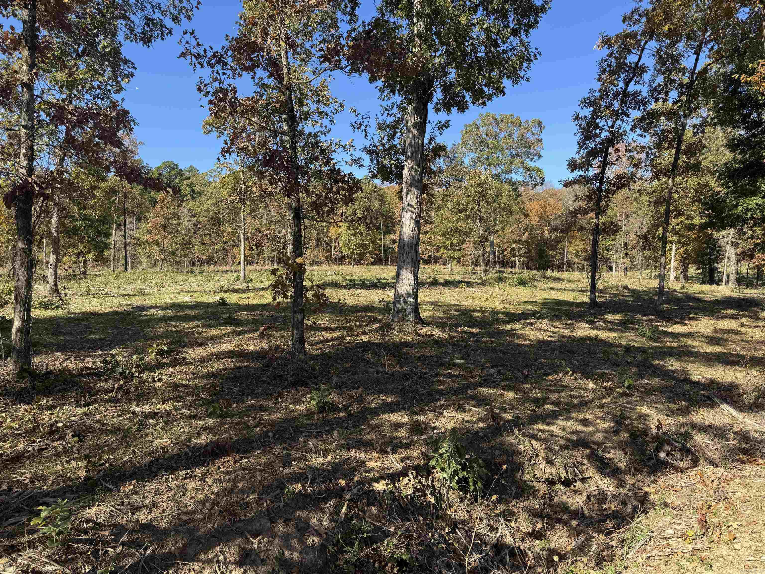 Metes & Bounds - Land