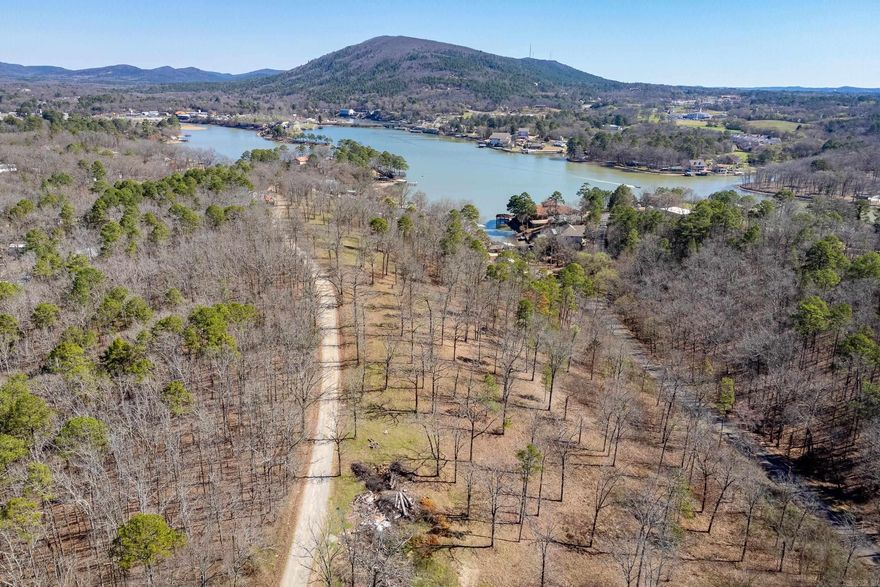10 acres with excellent development potential.  Portions of the property have views of the lake and mountains.  Preliminary plat available showing property divided into 19 lots.  Property is in Lake Hamilton School District.