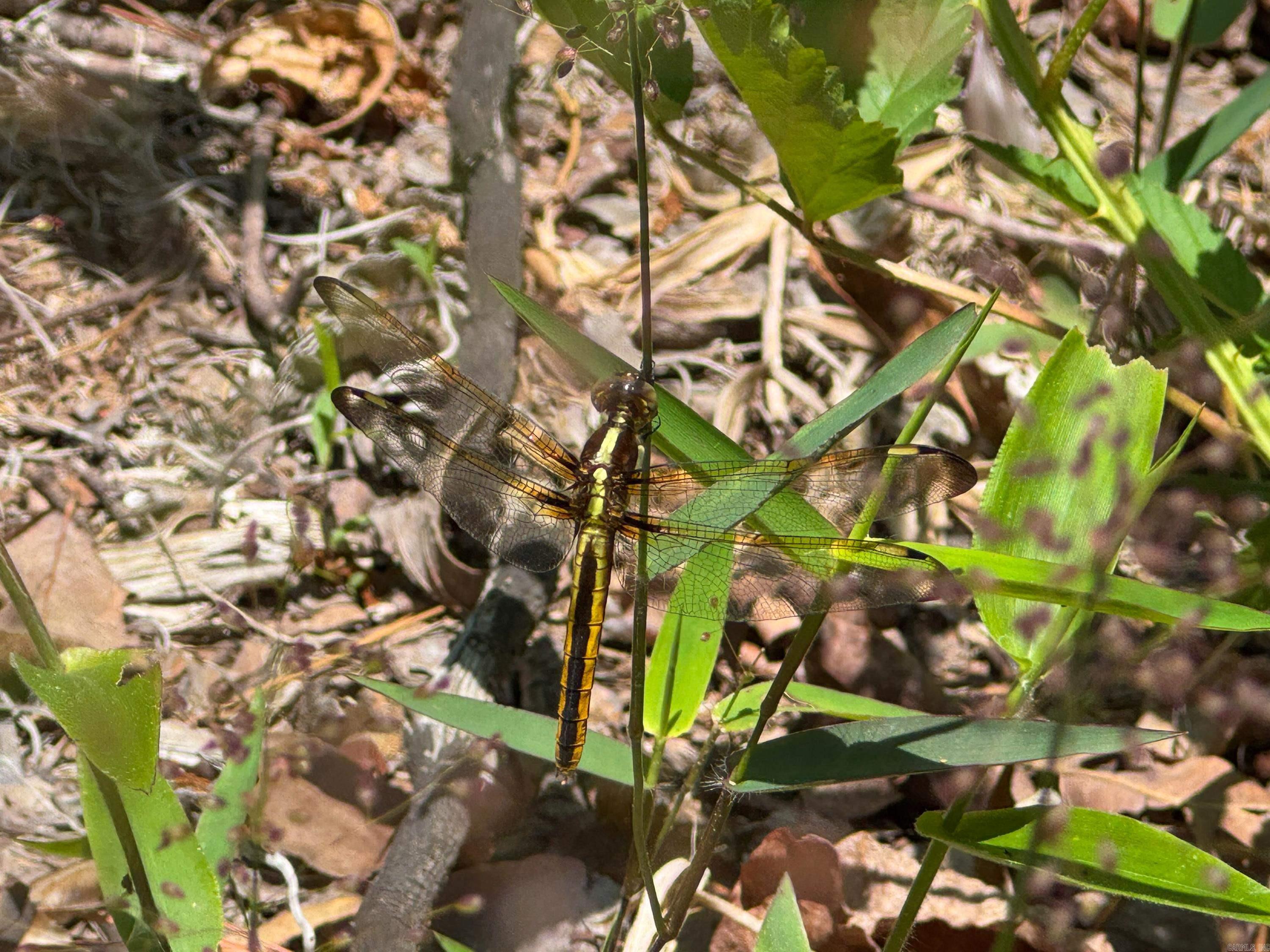 Metes & Bounds - Land