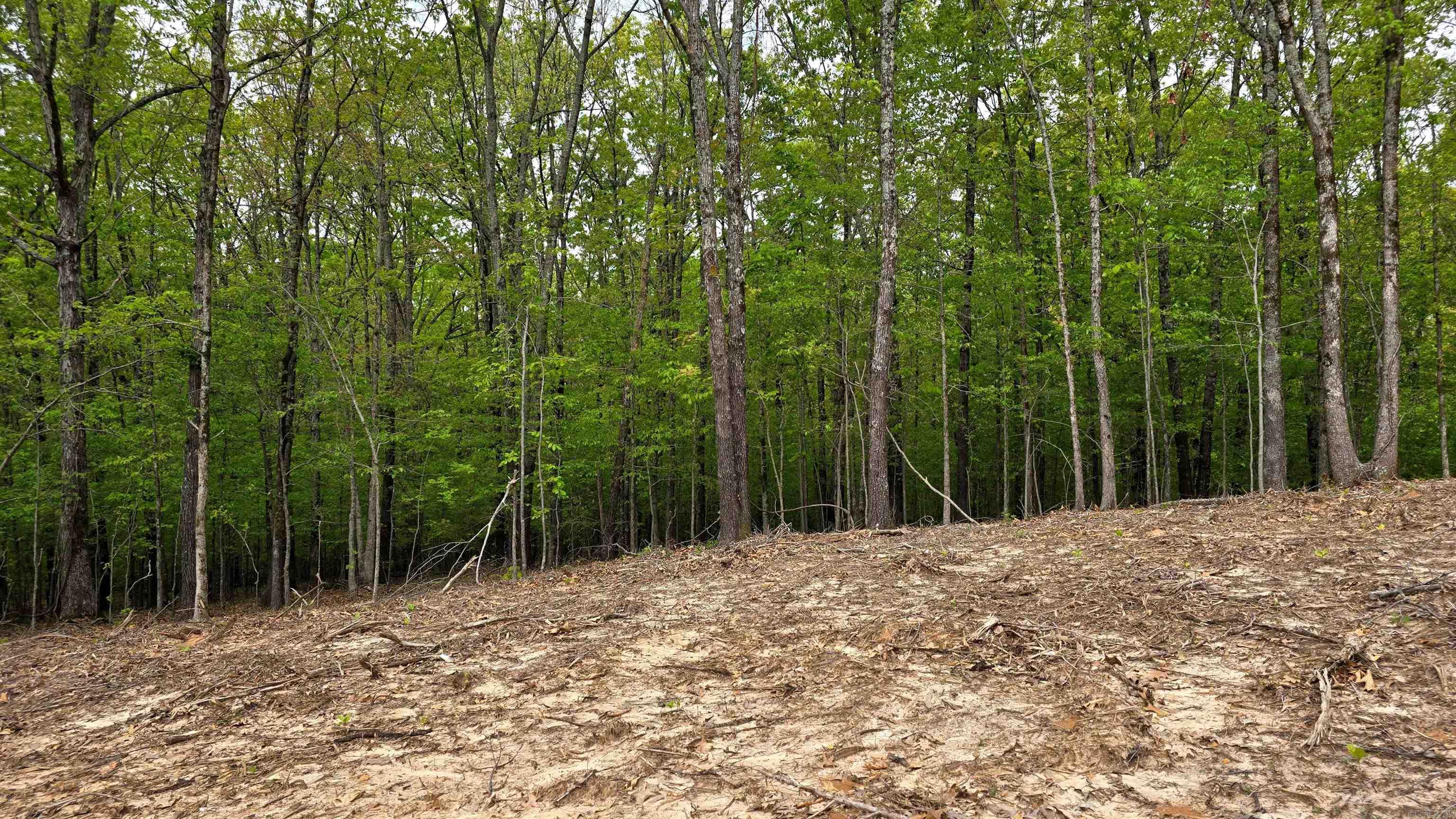 Gerald Crawford - Land