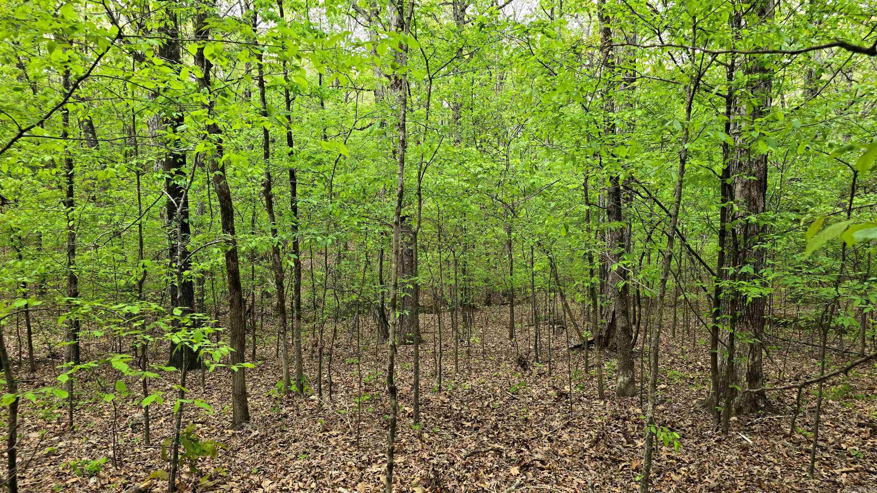 Gerald Crawford - Land