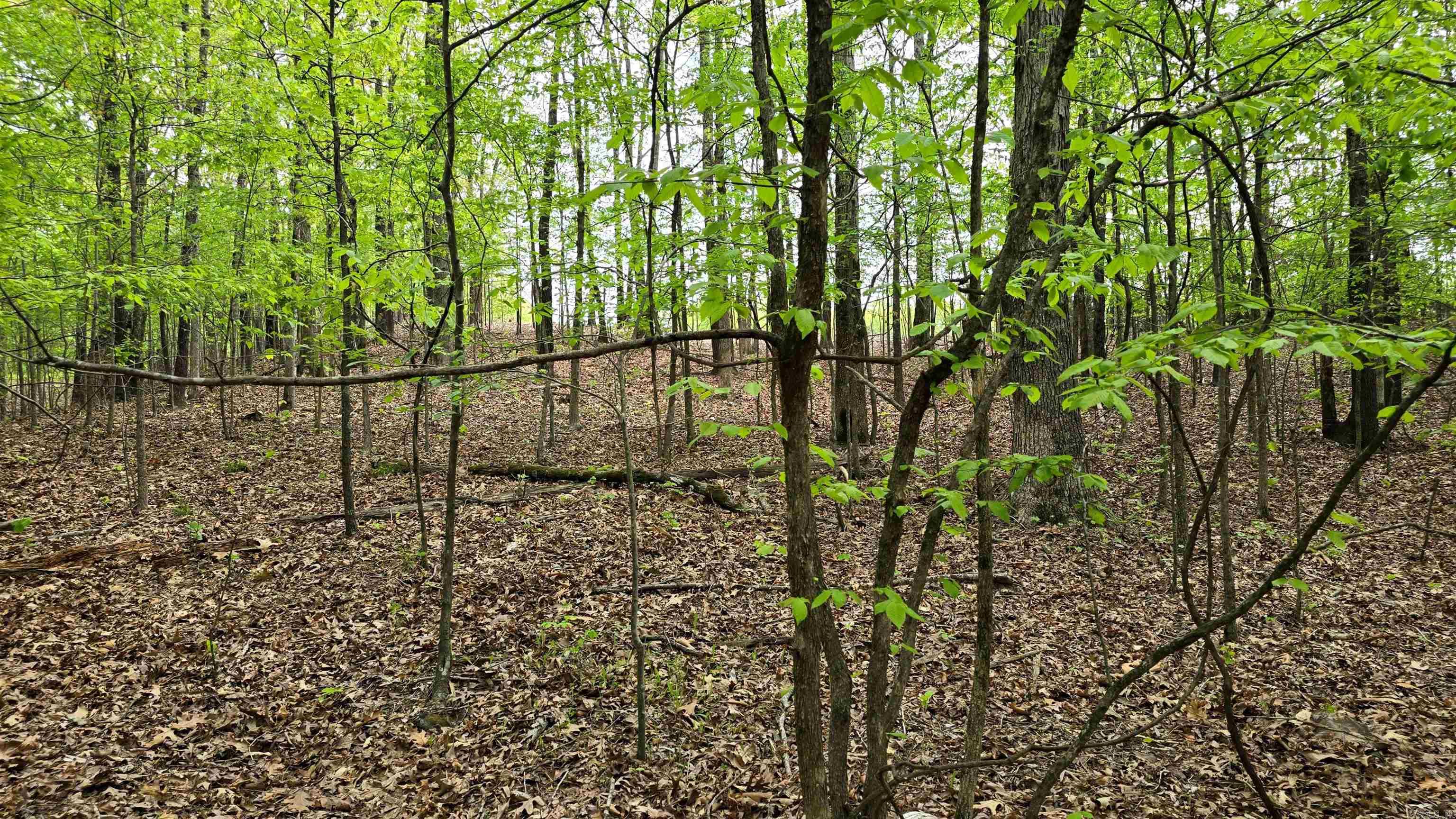 Gerald Crawford - Land