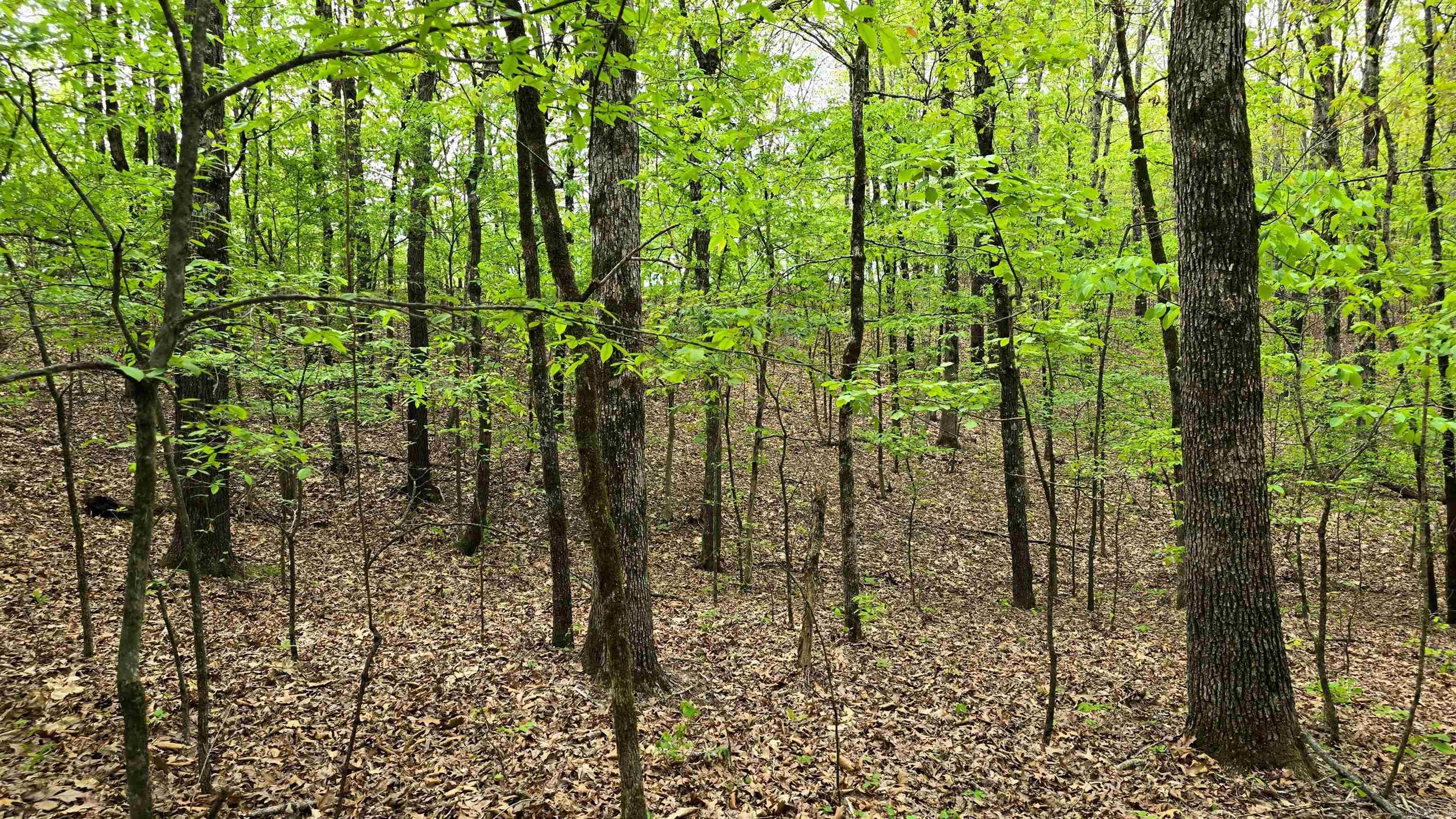 Gerald Crawford - Land