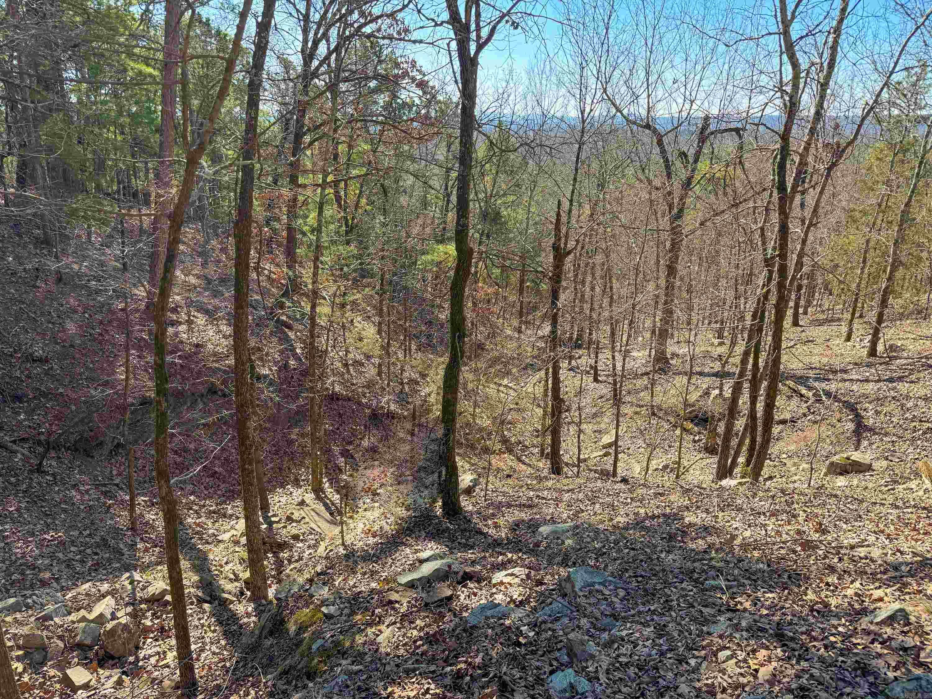 Beautiful lot in High Point Subdivision located in the Arkansas River Valley, just four miles northwest of Mayflower and less than 10 minutes from the nearest on-ramp to I-40. The subdivision is private and tucked away on a dead-end county road. This lot is 6.53 acres. The land inclines from High Point Road. Midway up the lot and higher, there will be a gorgeous view to the south with a little tree clearing. A wet-weather creek runs down the hill and creates several little waterfalls when it rains. This tract has lots of oak and hickory trees as well as few winged elms, Deerberry shrubs, muscadine vines, and wild blackberries. Itās common to see abundant wildlife, including white-tailed deer, rabbits, gray squirrels and many species of birds. There are several very nice homes along the ridge, with residents whom all have the self-sufficiency of their own water wells. Minimum building square footage is 1,450 and no mobile homes are allowed. More lots are available.