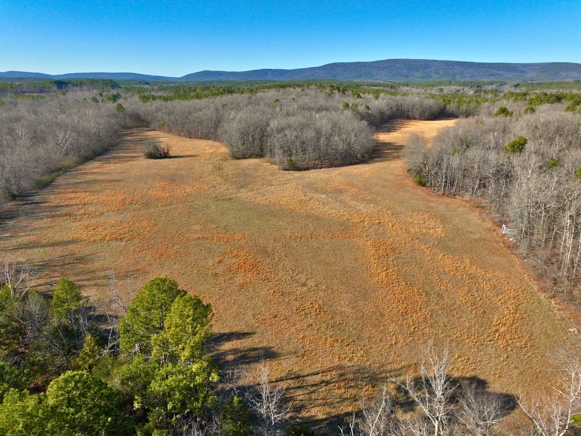 69 BEAUTIFUL ACRES IN JESSIEVILLE! PASTURE-WOODS-CREEK-GREAT NEIGHBORHOOD-THIS ONE HAS IT ALL! RARE OPPORTUNITY! NO RESTRICTIONS!! ACT NOW! **SELLER WILL CONSIDER SUBDIVIDING WITH RIGHT OFFER