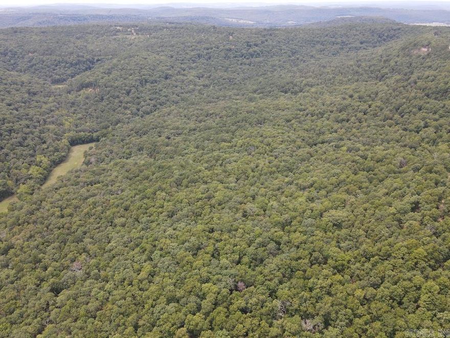 The Wooded Wonder is a sweet place that you don’t see come available very often! This premium hunting tract is nestled in a spot that offers privacy, unique and usable terrain, fantastic timber, and good genetics. The whitetail deer hunting here is as good as it gets. Numerous monster P&Y bucks have been taken off the place over the last decade. Large gobblers are also a staple in the dense buffet of game this Ozark beauty has to offer! Selective management strategies have been implemented over the years, and the trophies are proof of that effort to ensure great genetics and great numbers. The gently rolling hills create an array of draws that are very huntable and usable, as well as excellent, predictable pinch points. The land is loaded with oaks and other hardwoods, providing a good crop of acorns and other food sources for the deer, turkey, and other small game. There is also an opportunity to return with a very nice, established, mature stand of pine timber! A well-established trail network winds through the property, making it a breeze for ATV or UTV to navigate.