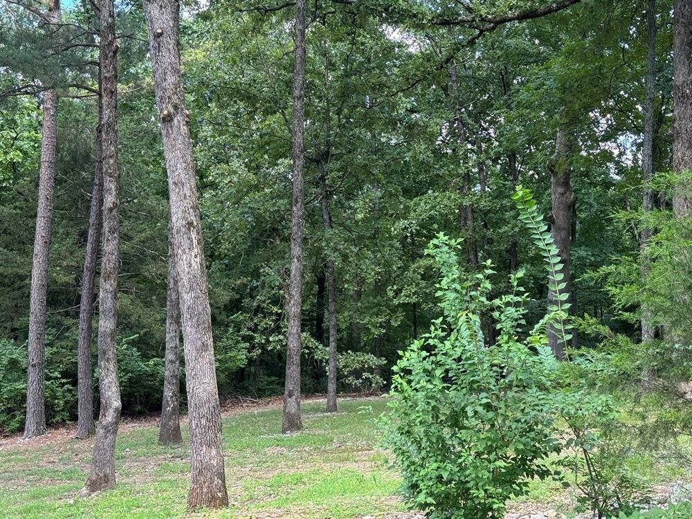 CREE THIRD - Residential