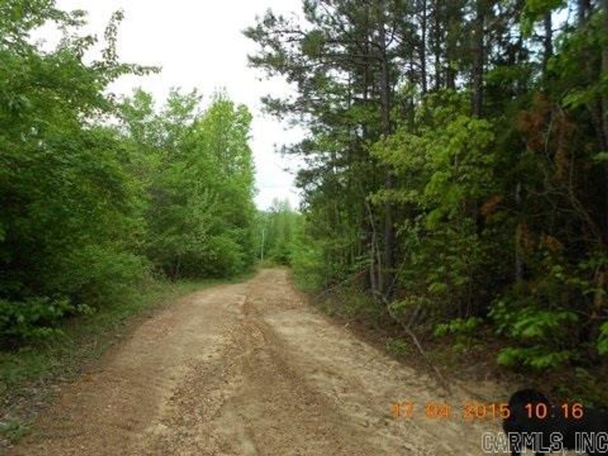 Hunter's Paradise!! 49.02 wooded acres with beautiful views and natural spring. This property has plenty of wildlife