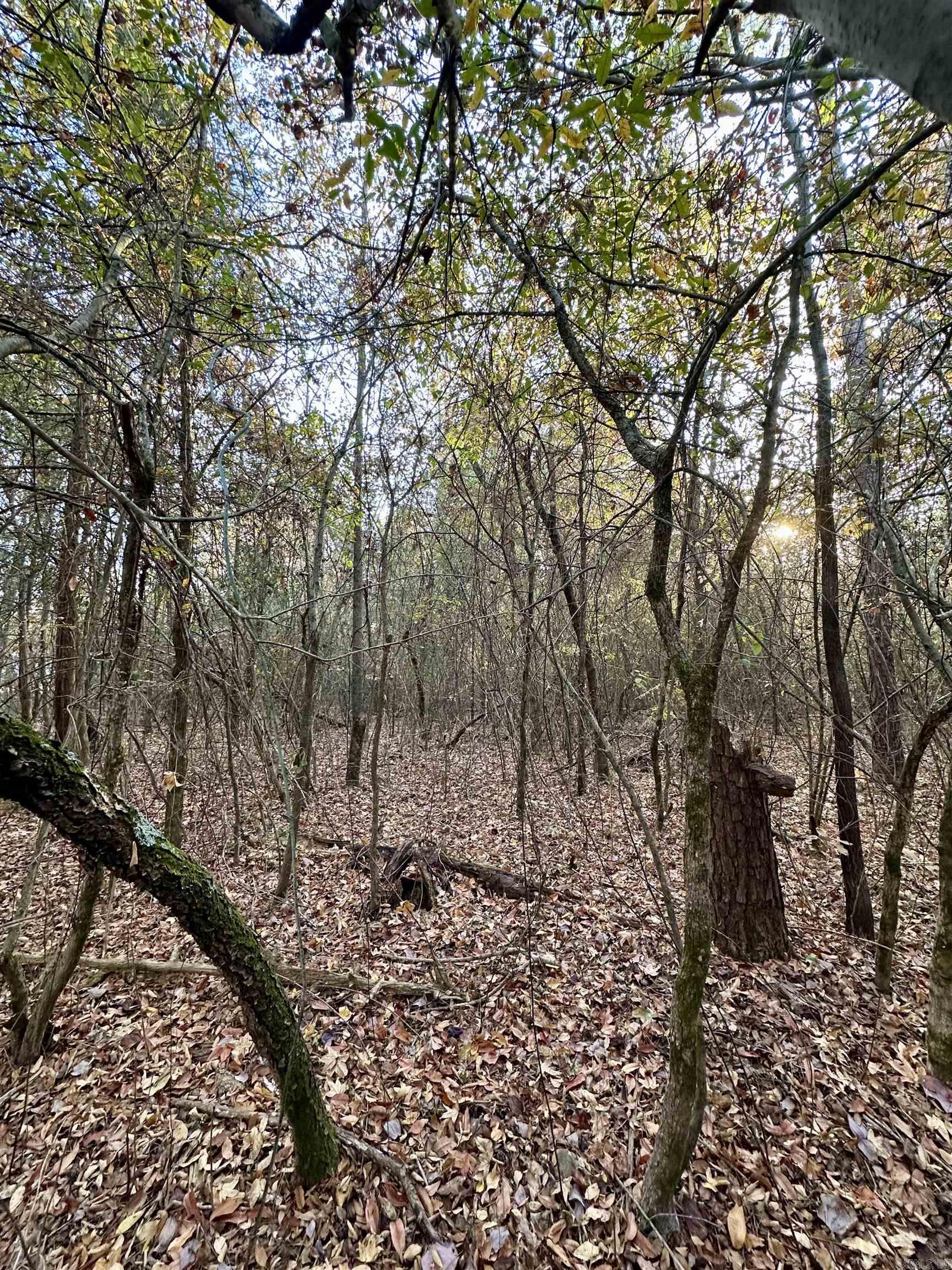 Westmoreland Heights - Land