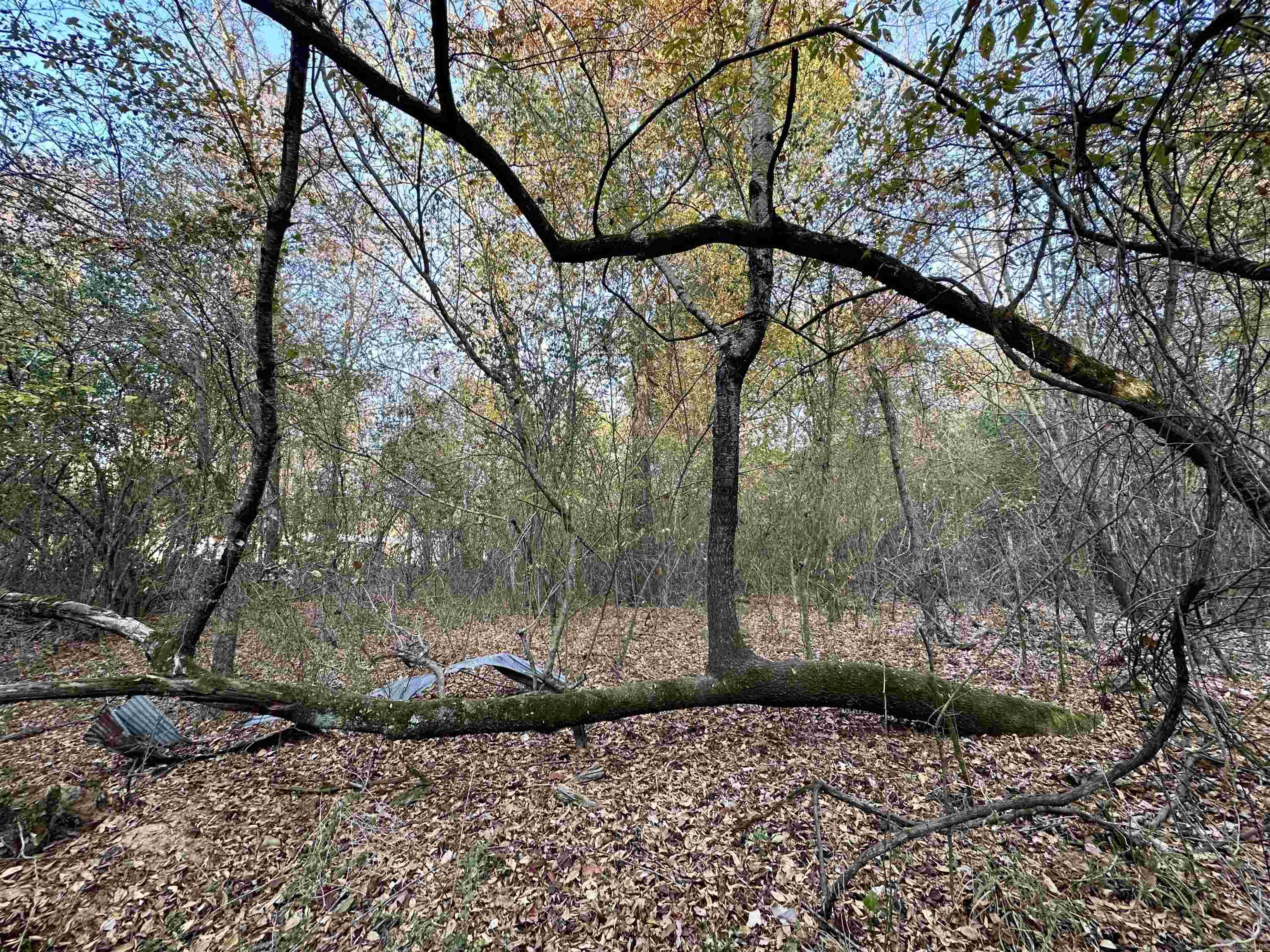 Westmoreland Heights - Land