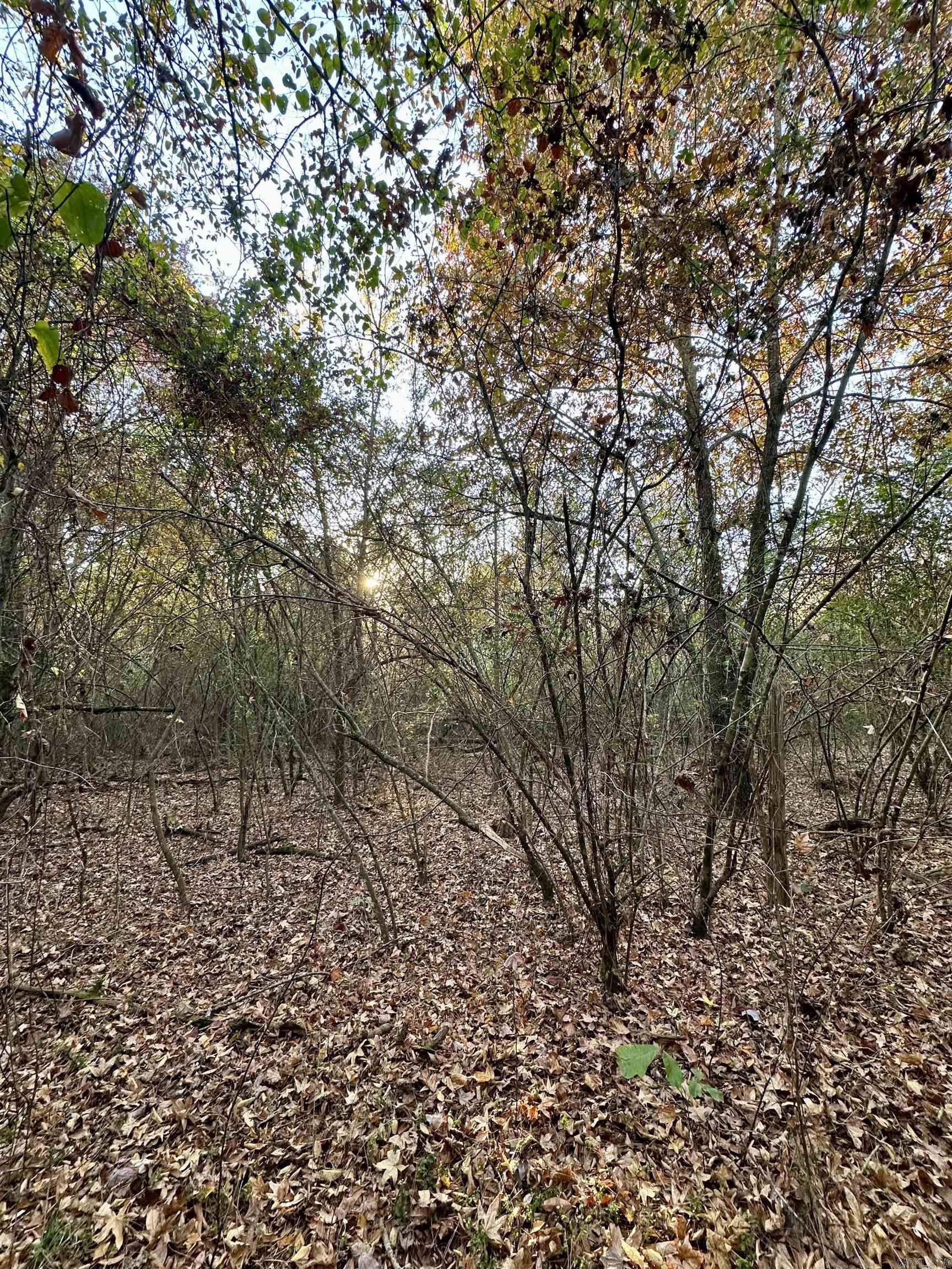 Westmoreland Heights - Land