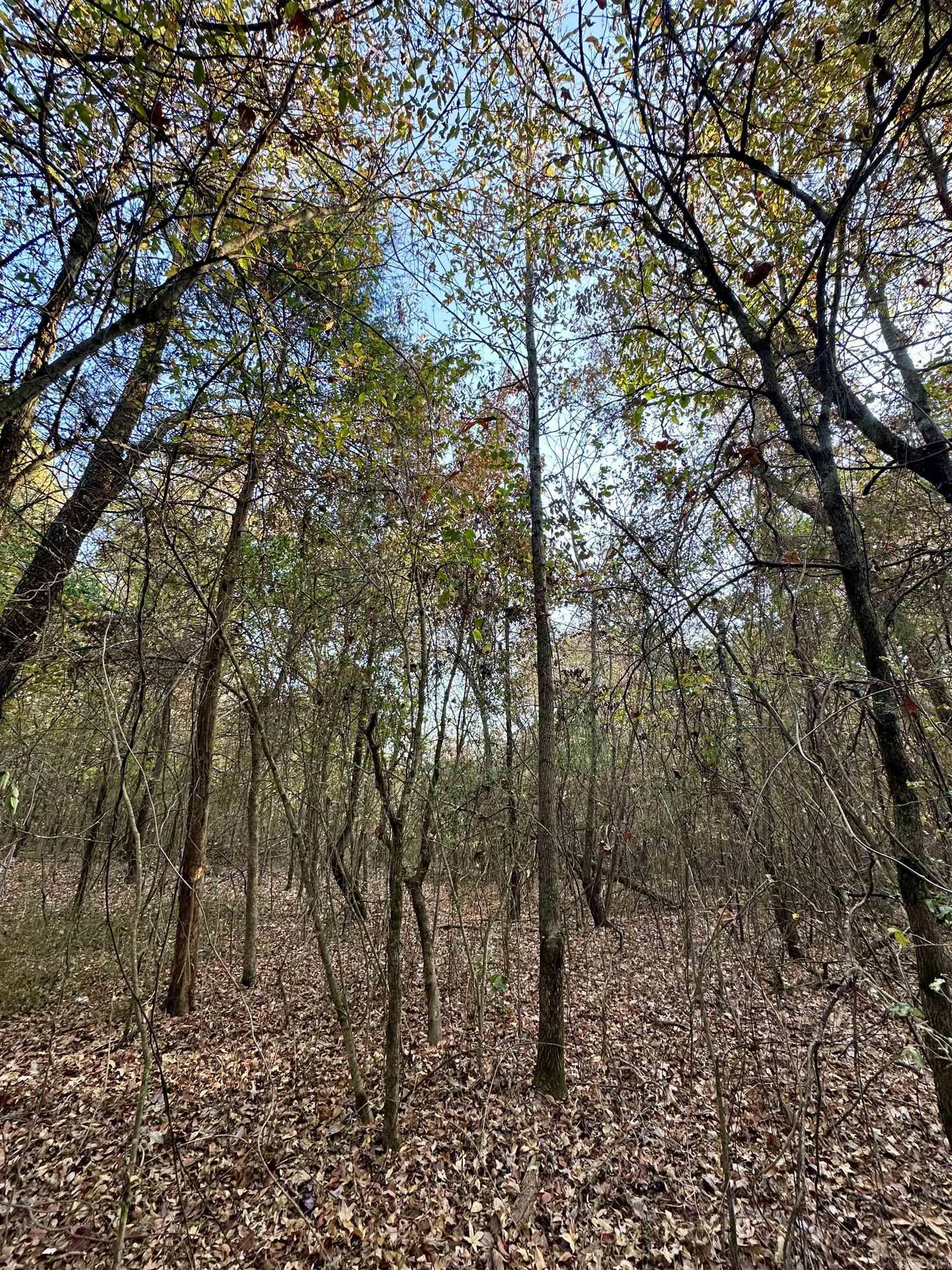 Westmoreland Heights - Land