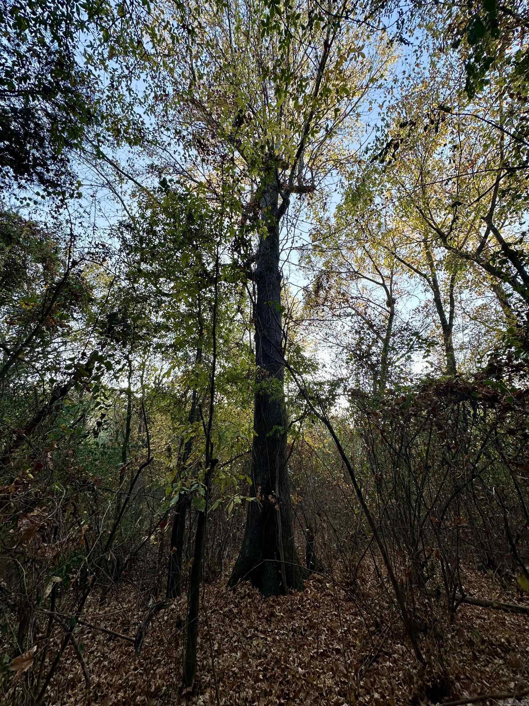 Westmoreland Heights - Land